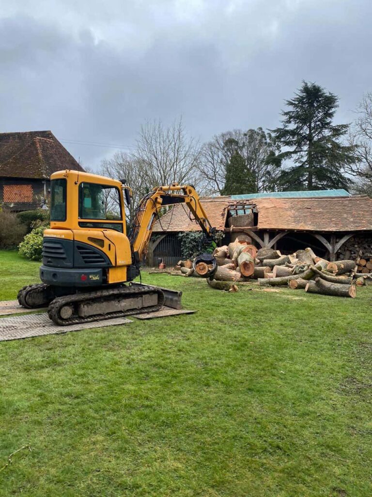 This is a photo of a tree which has grown through the roof of a barn that is being cut down and removed. There is a digger that is removing sections of the tree as well. Biggleswade Tree Surgeons