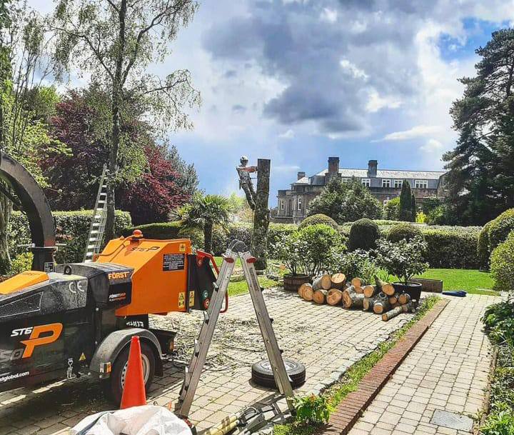 This is a photo of a tree being felled. A tree surgeon is currently removing the last section, the logs are stacked in a pile. Biggleswade Tree Surgeons