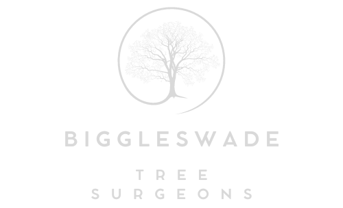 Biggleswade Tree Surgeons